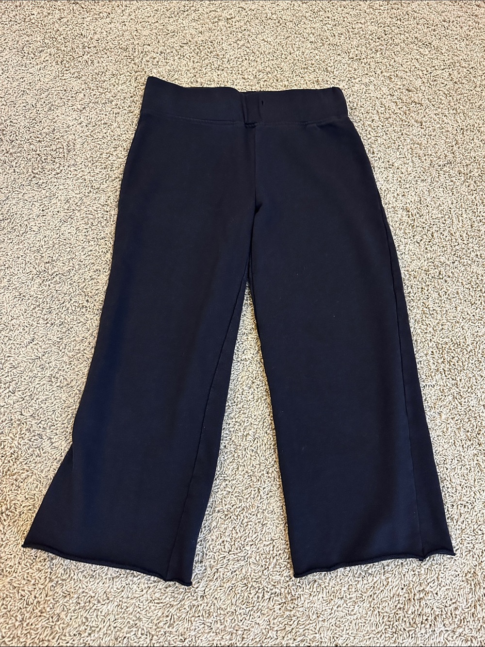 Sage Black Cropped Wide-Leg Pants